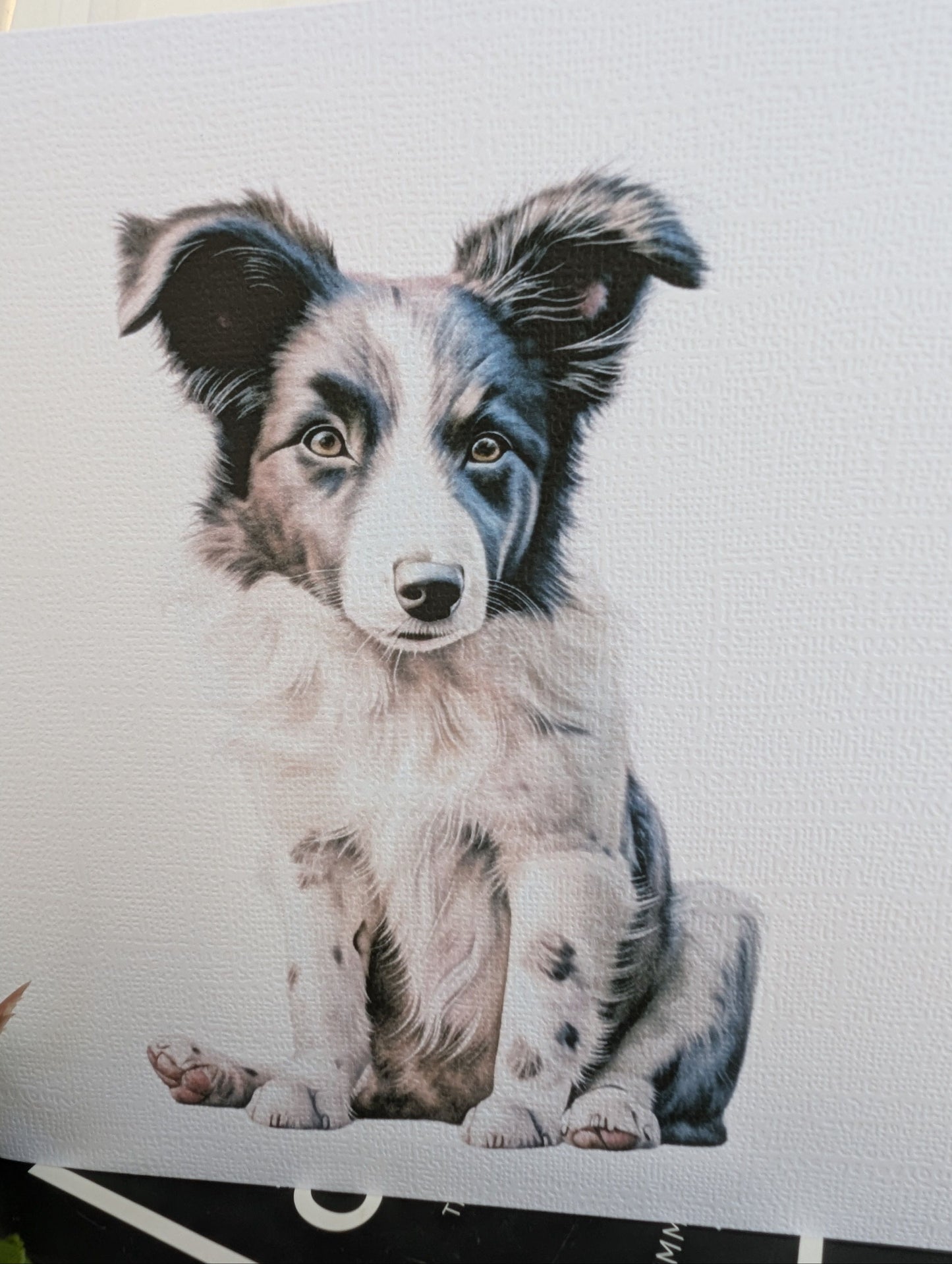 Border Collie Greetings Card | Dog Notecard | Border Collie Birthday Card image 2