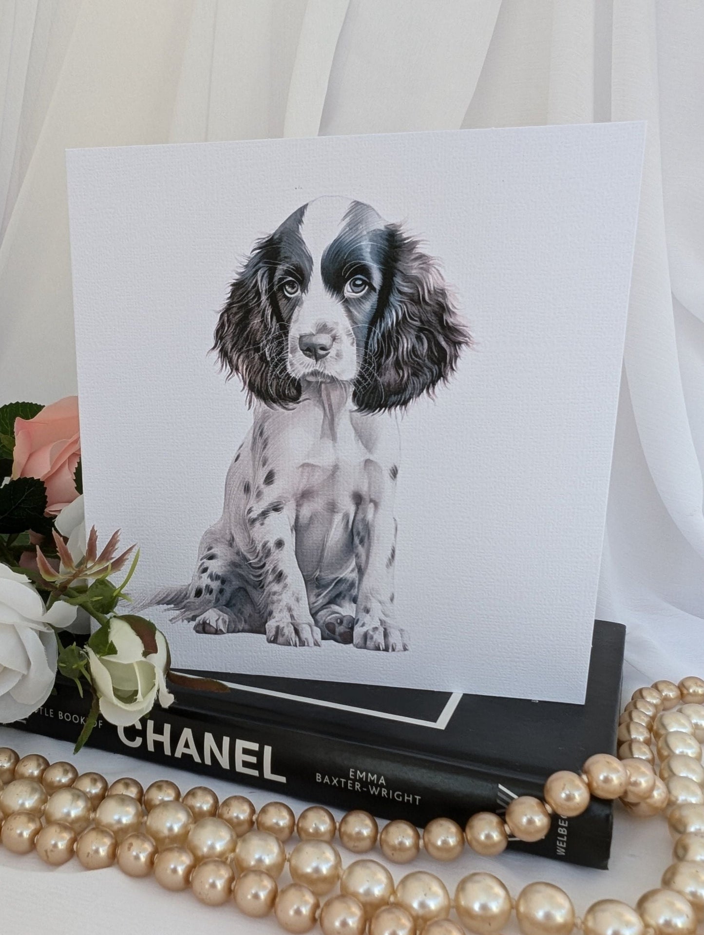 6 x 6 inch square Springer Spaniel greeting card on 300gsm white linen effect card