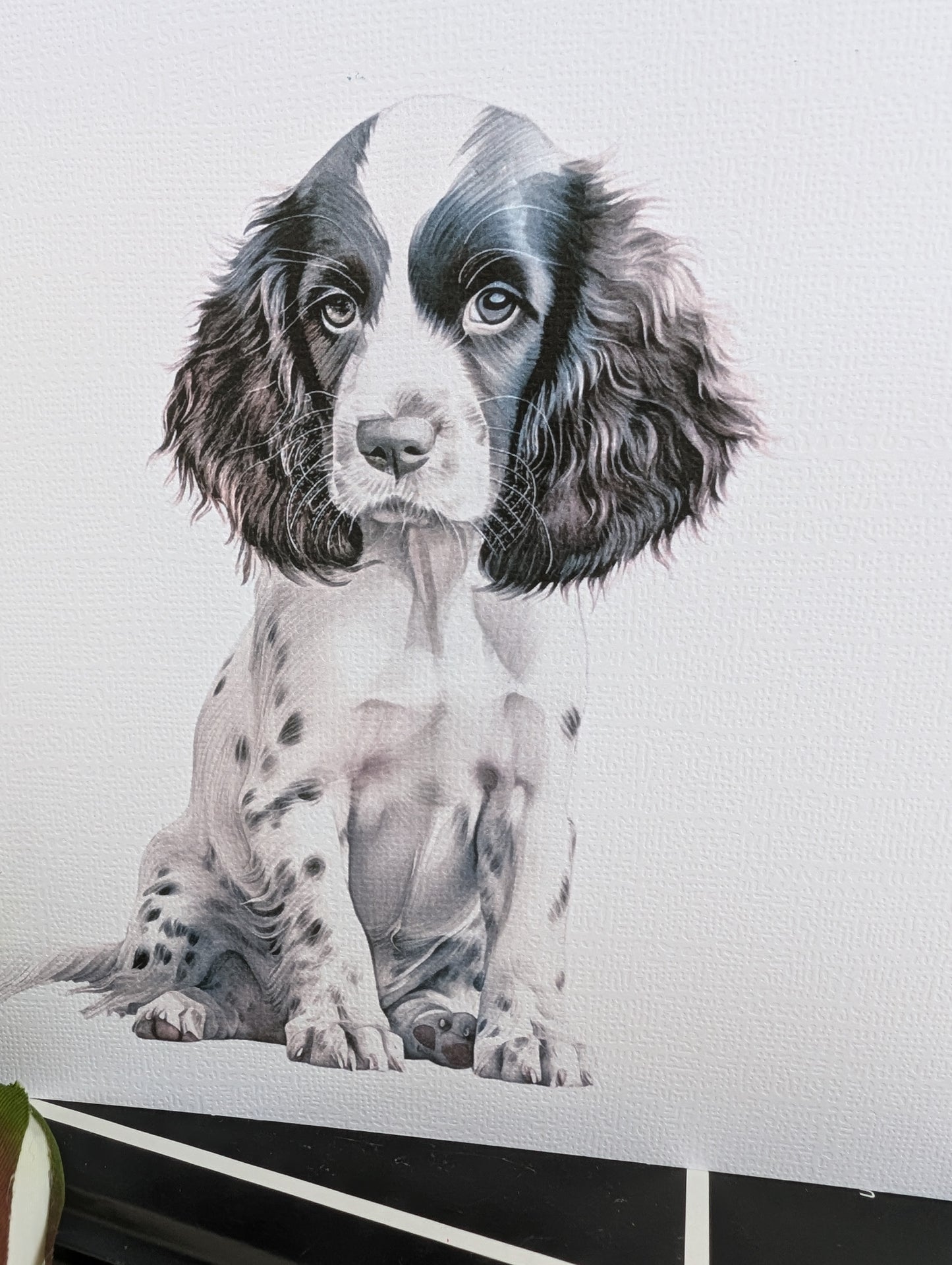 close up view of Springer Spaniel greeting card on 300gsm white linen effect card,