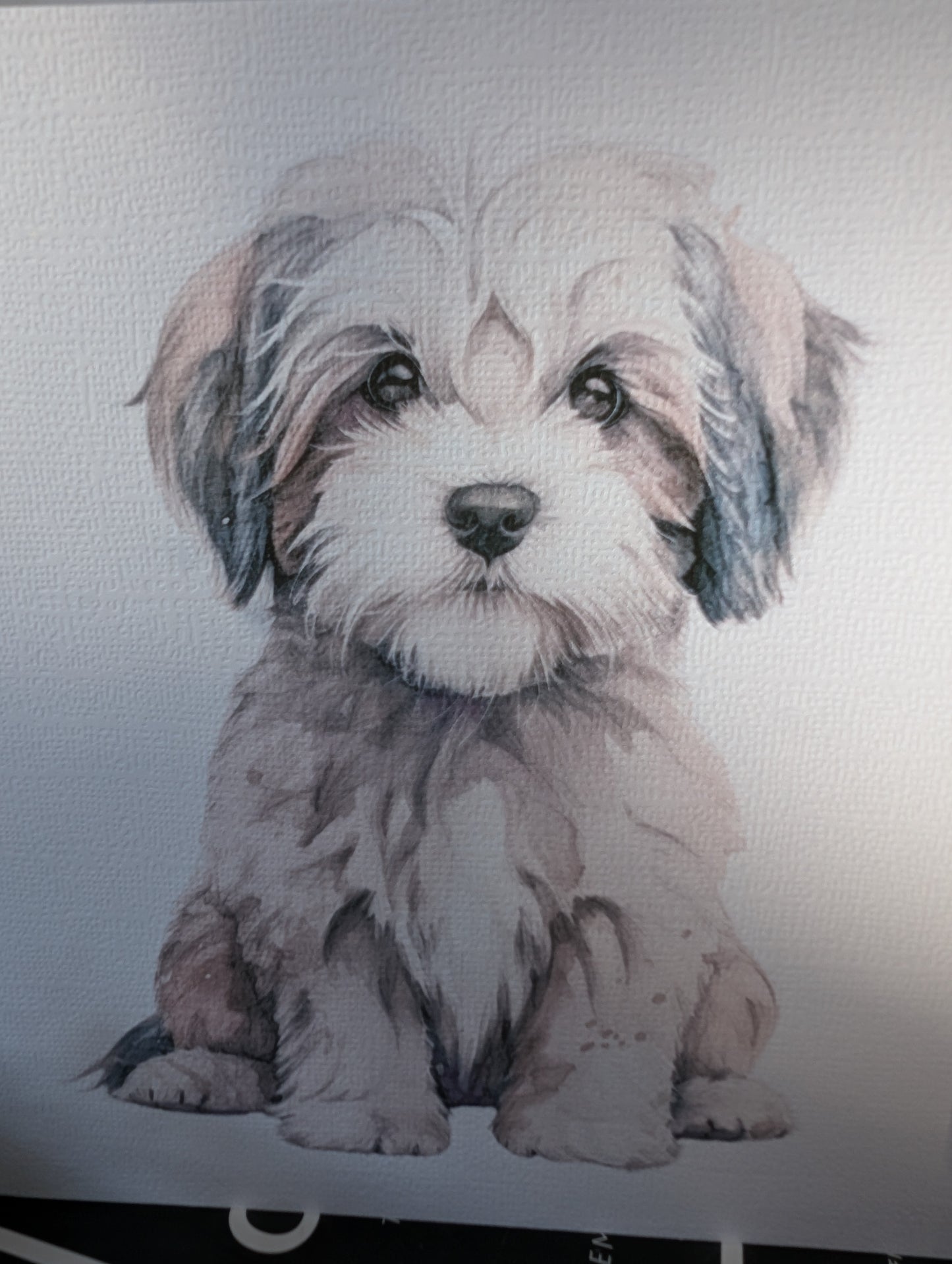 close up of White linen effect 300gsm greeting card, printed with a watercolour style image of a cute Havanese dog.