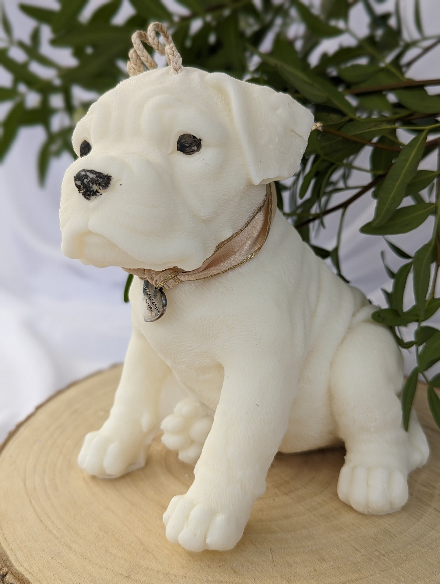 side view of moulded boxer dog puppy candle. Made of coconut and rapeseed wax with ribbon and charm around his neck