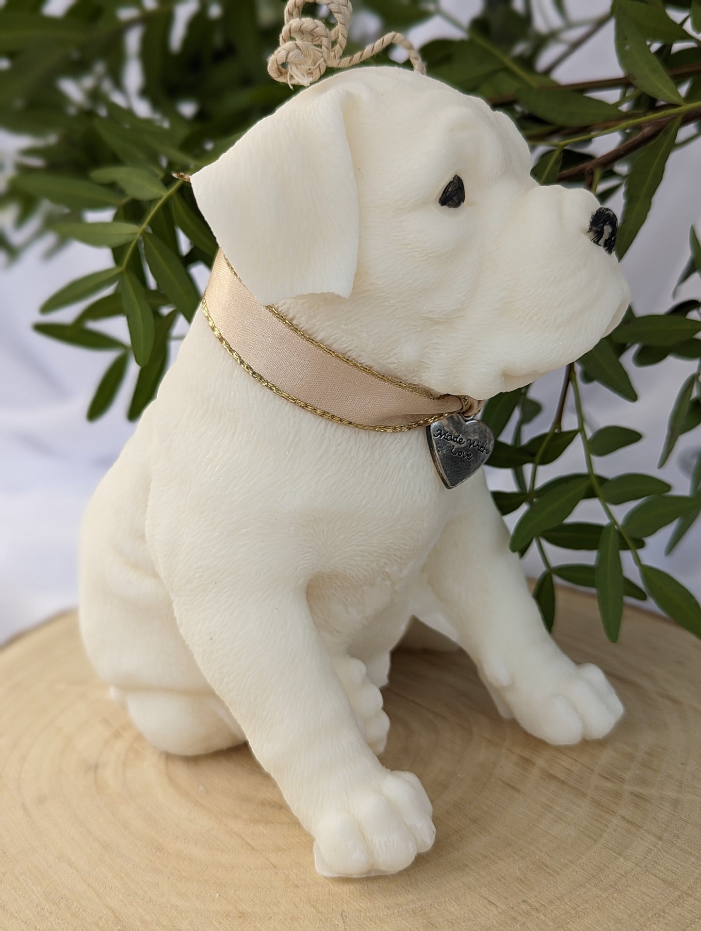 right profile view of moulded boxer dog puppy candle. Made of coconut and rapeseed wax with ribbon and charm around his neck
