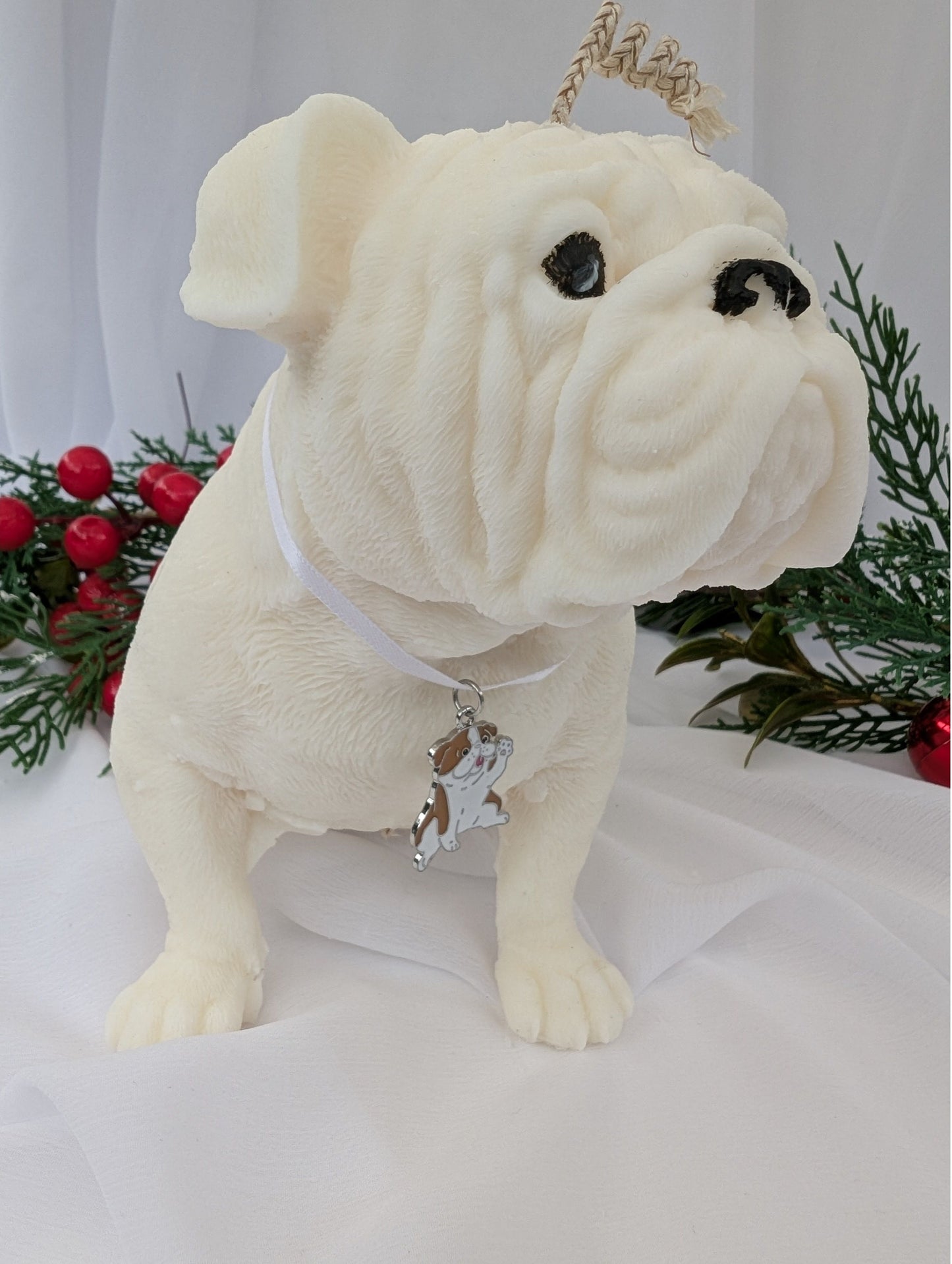 Right profile view of hand poured moulded British Bulldog Candle with white ribbon and British bulldog charm around its neck