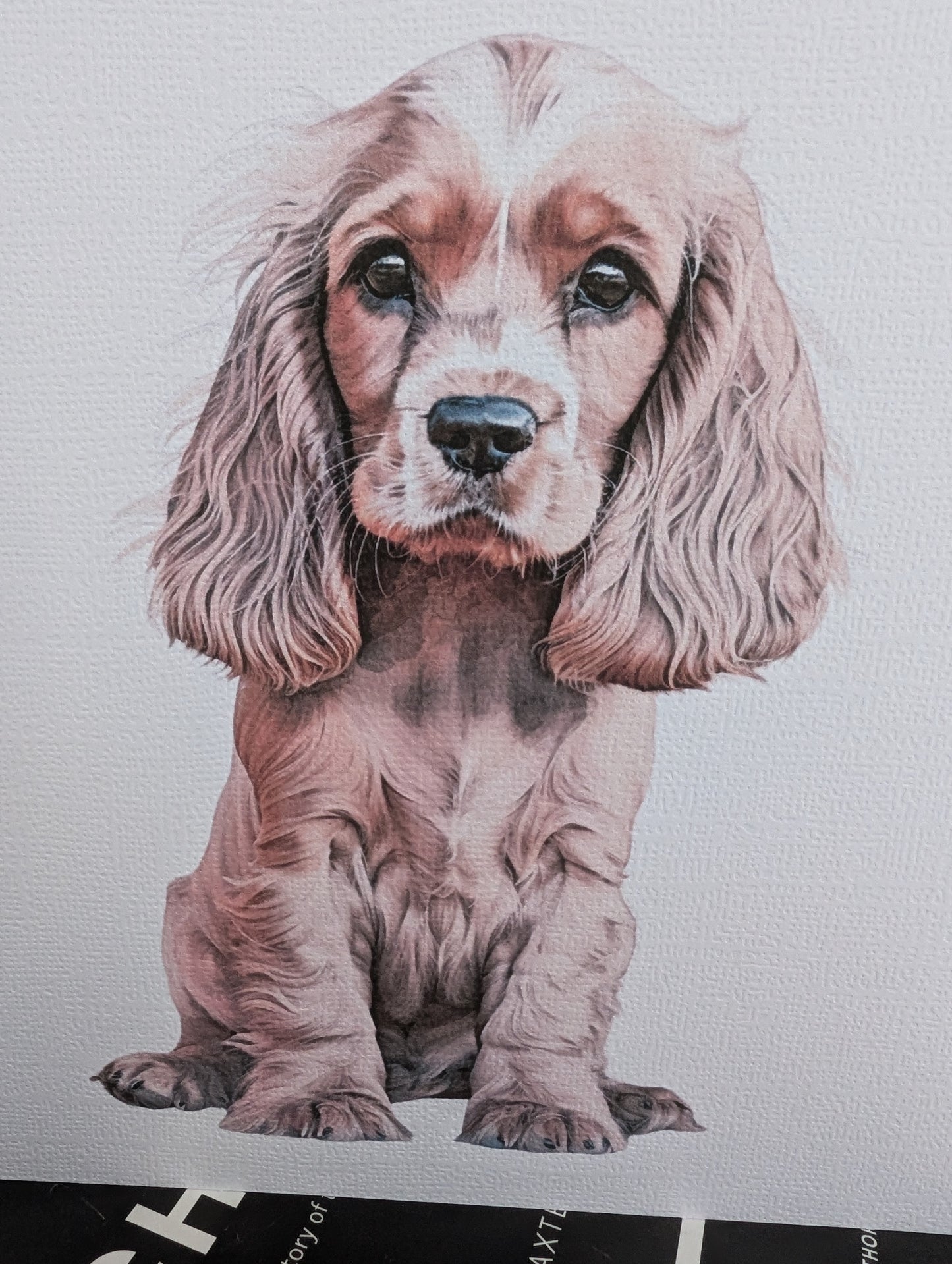 close up view of dog birthday card, with watercolour style image of cocker spaniel on 300gsm linen card