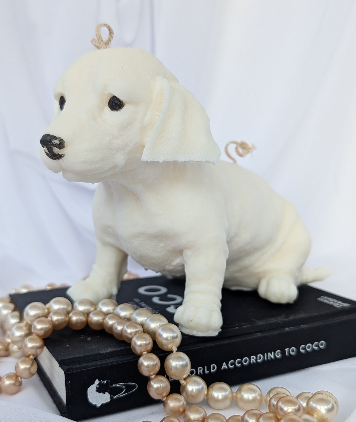 Dachshund shaped Dog Candle on a black book with pearls