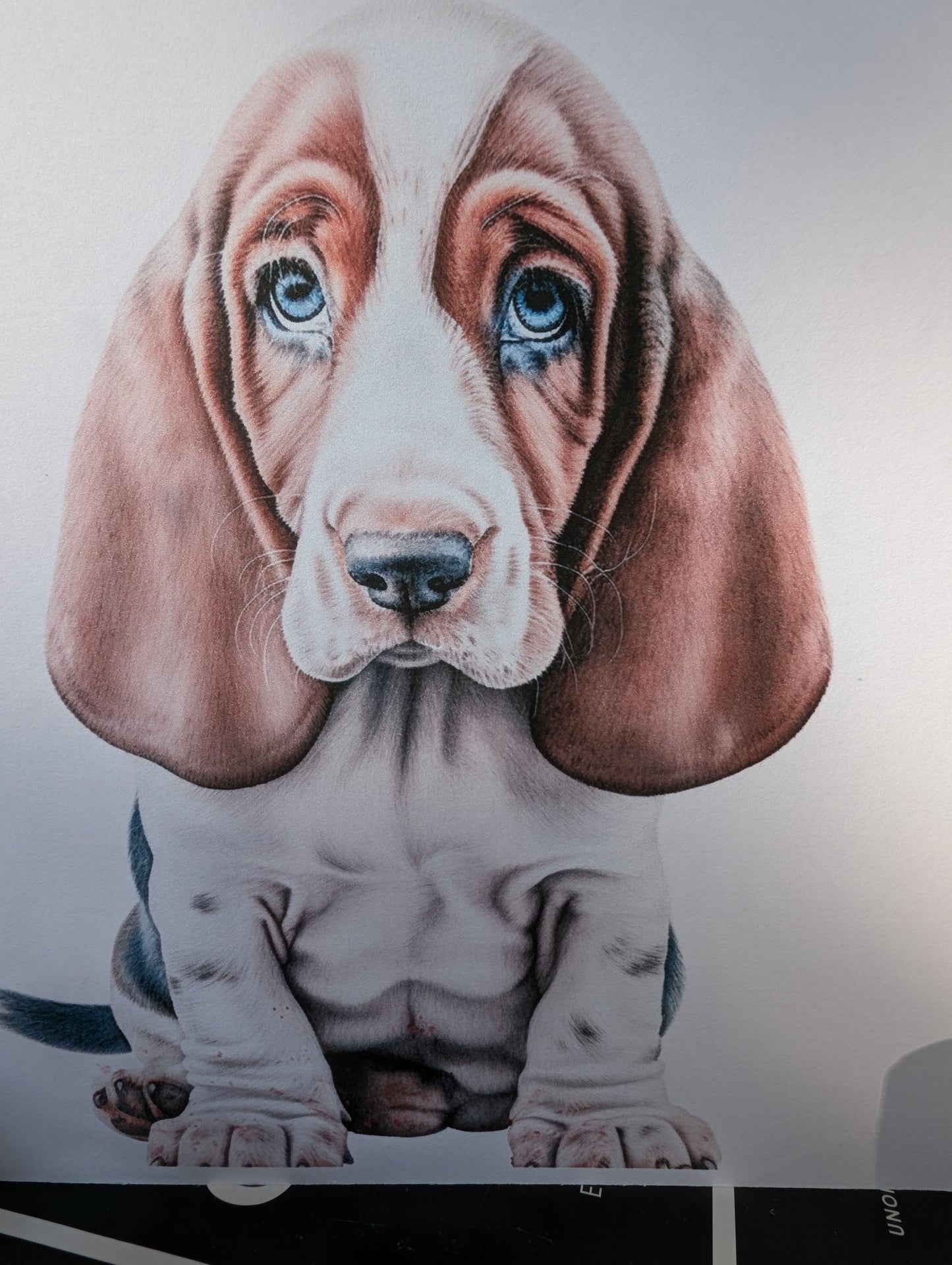 Detailed close up of Basset hound dog card - watercolour style image printed on 300gsm white linen effect card