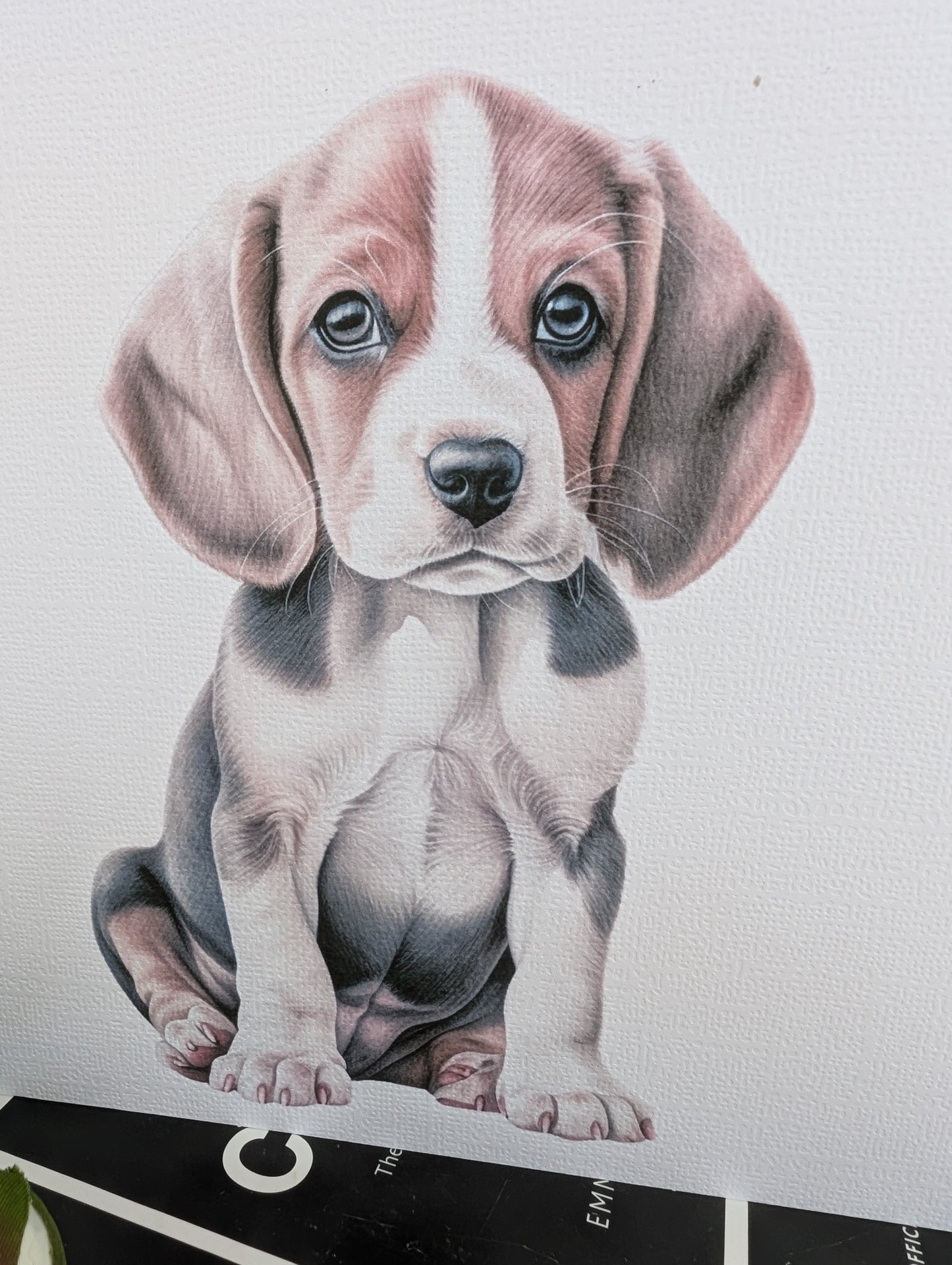 detailed close up of cute watercolour style Beagle puppy greeting card, printed on 6x6inch square white linen 300gsm card