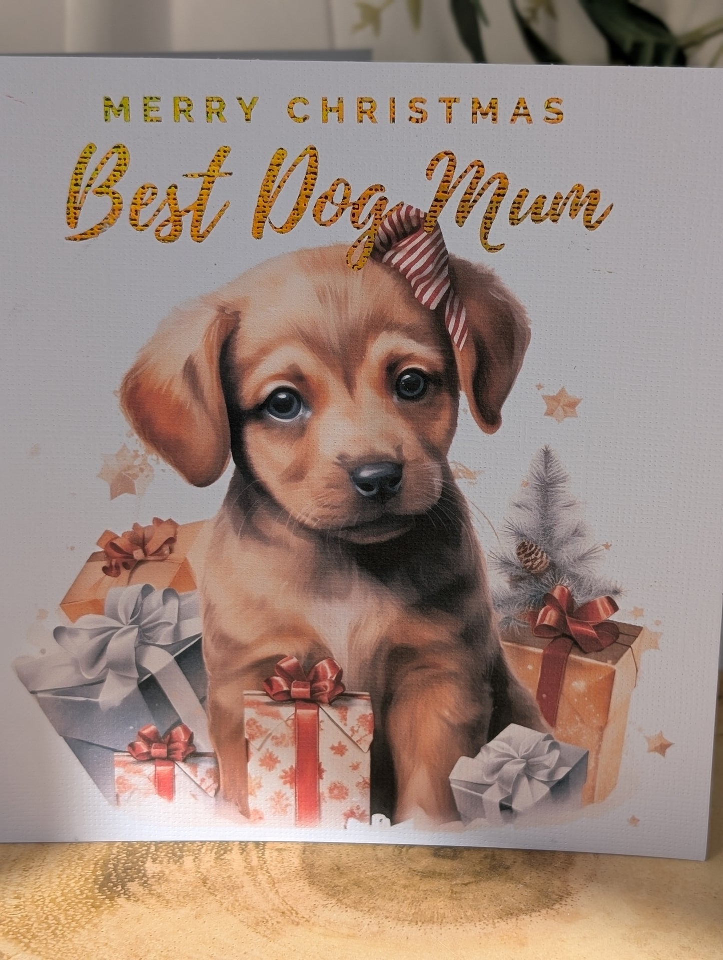 Labrador Christmas card featuring 'Merry Christmas Best Dog Mum' text.