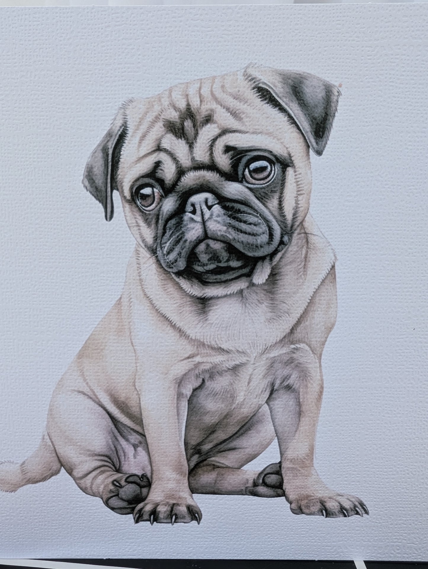 close up view of 6 x 6 inch white linen effect greeting card printed with watercolour style image of a cute pug puppy