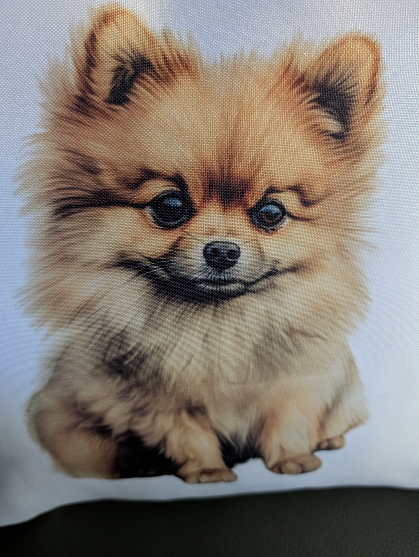 Pomeranian Cushion | Dog Cushion | Pomeranian Home Decor