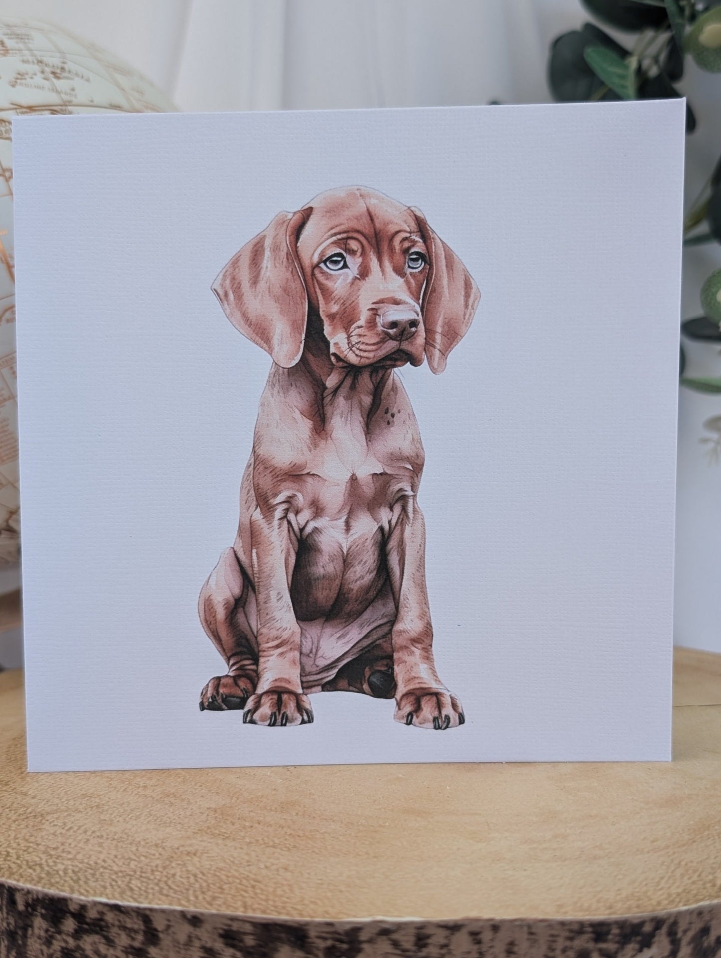 Close up pf Vizsla Dog Birthday Card, white background linen effect 300gsm card, blank inside. Shown on a wood base.