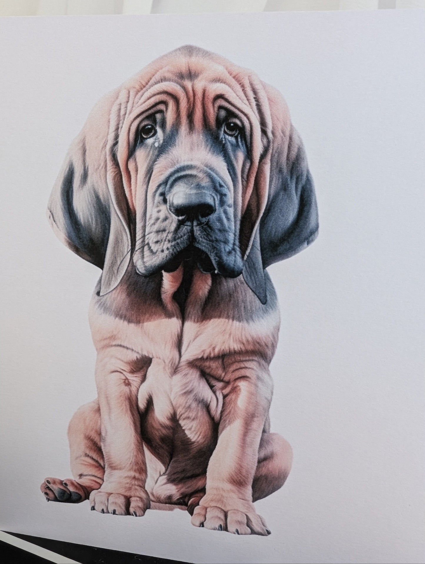 Detailed close up of dog card with watercolour style Bloodhound printed on white 300gsm linen effect 6x6inch card
