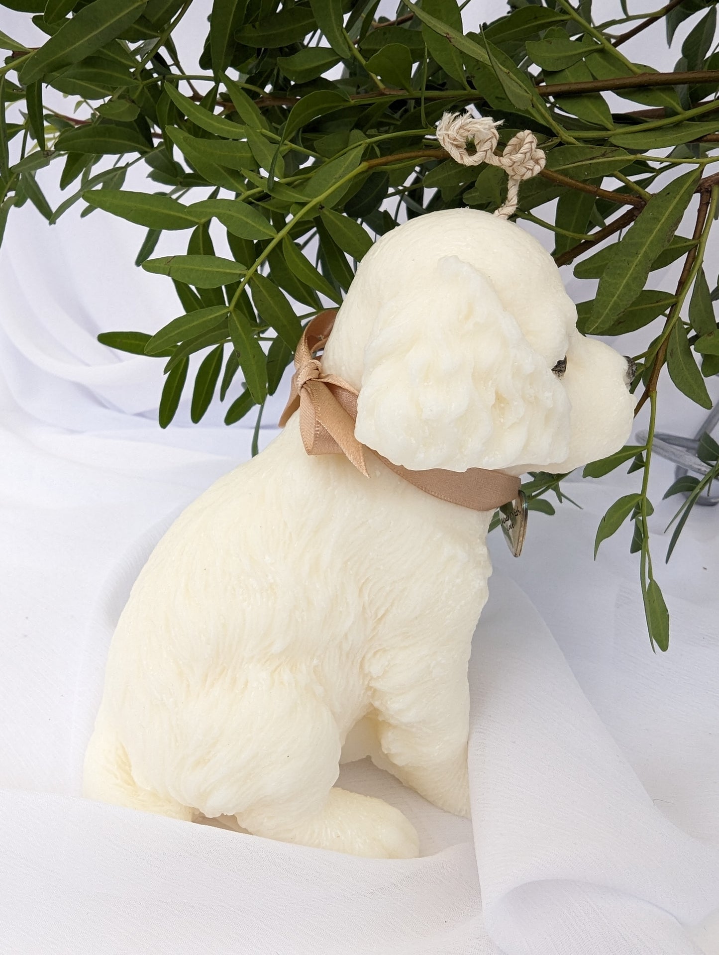 Right profile view of Cavalier King Charles Spaniel Puppy Candle wearing ribbon and charm around neck