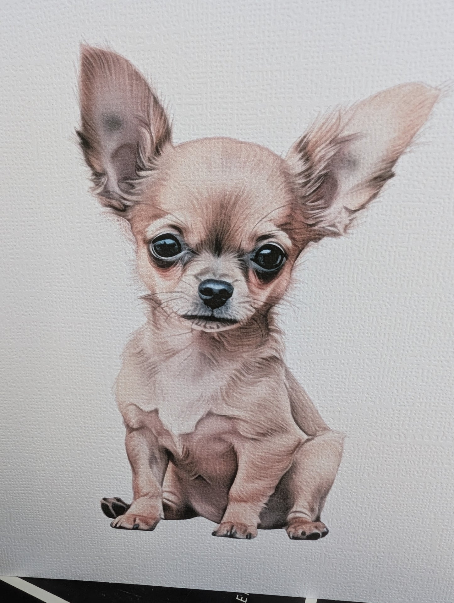 Detailed close up of Chihuahua Dog card - watercolour style print on 300gsm linen effect card
