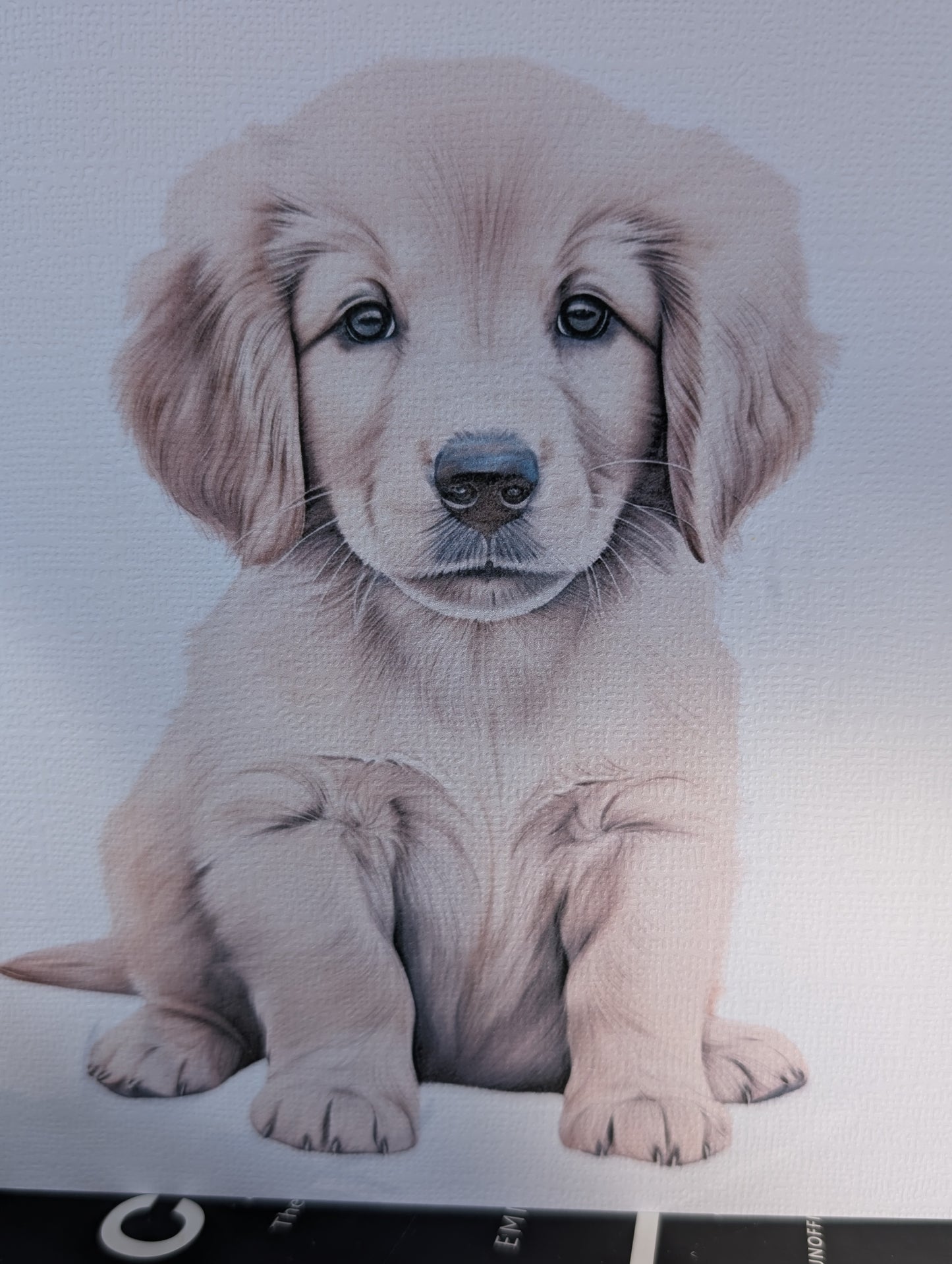 Close up view of White 6 x 6 inch linen effect 300gsm with watercolour style image of golden retriever puppy,