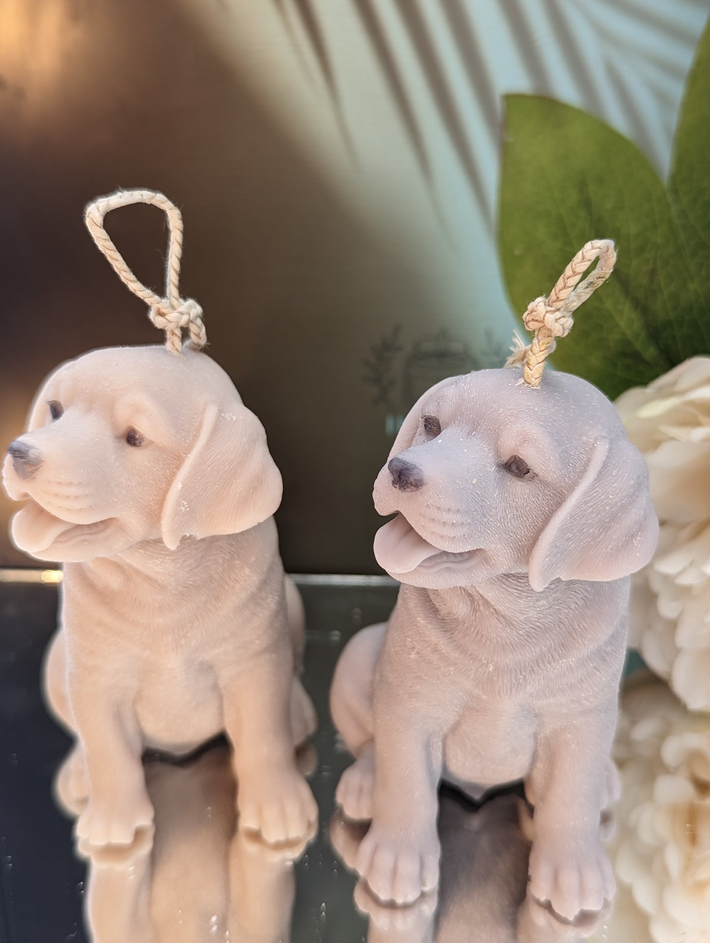 Top view of two moulded labrador puppy candles - 1 grey and 1 cream