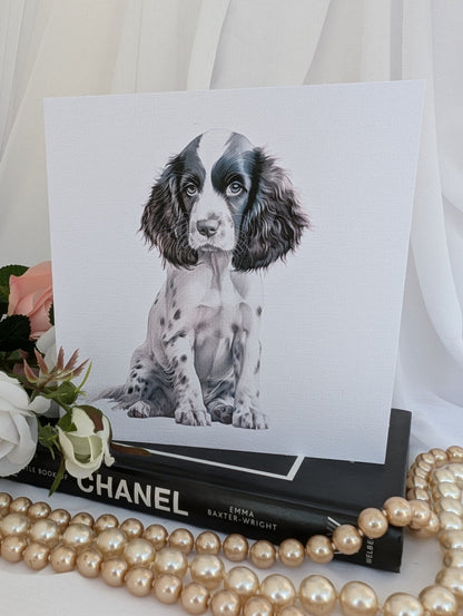 6 x 6 inch square Springer Spaniel greeting card on 300gsm white linen effect card