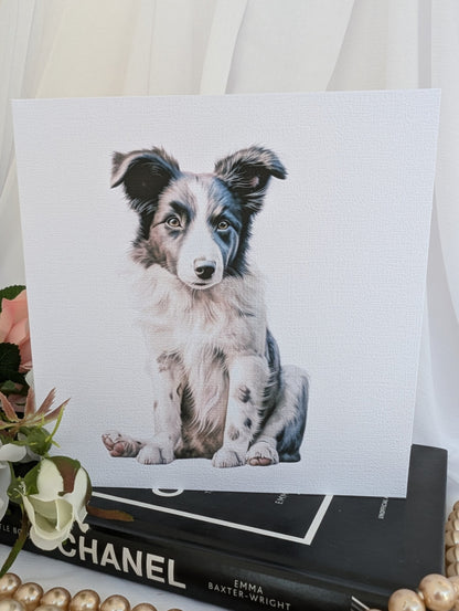 Border Collie Greetings Card | Dog Notecard | Border Collie Birthday Card image 0