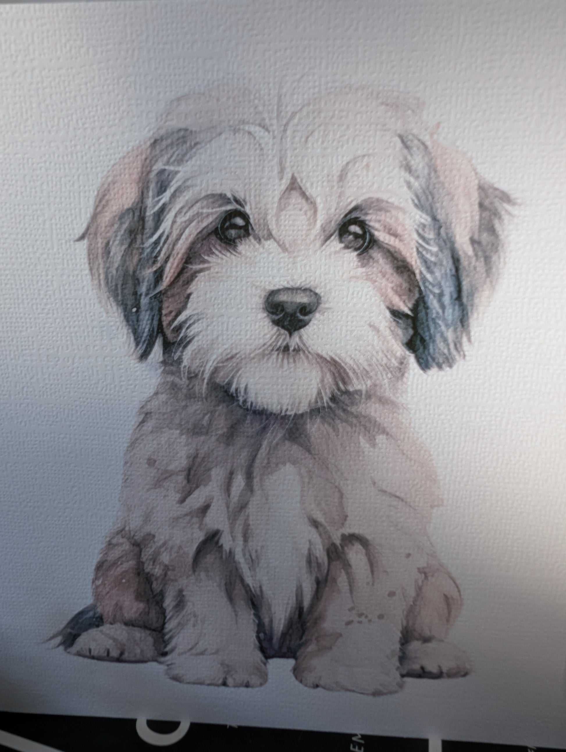 close up of White linen effect 300gsm greeting card, printed with a watercolour style image of a cute Havanese dog.