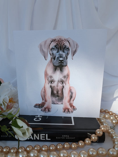 6 x 6 inch white linen effect greeting card, printed with watercolour style image of Great Dane Puppy
