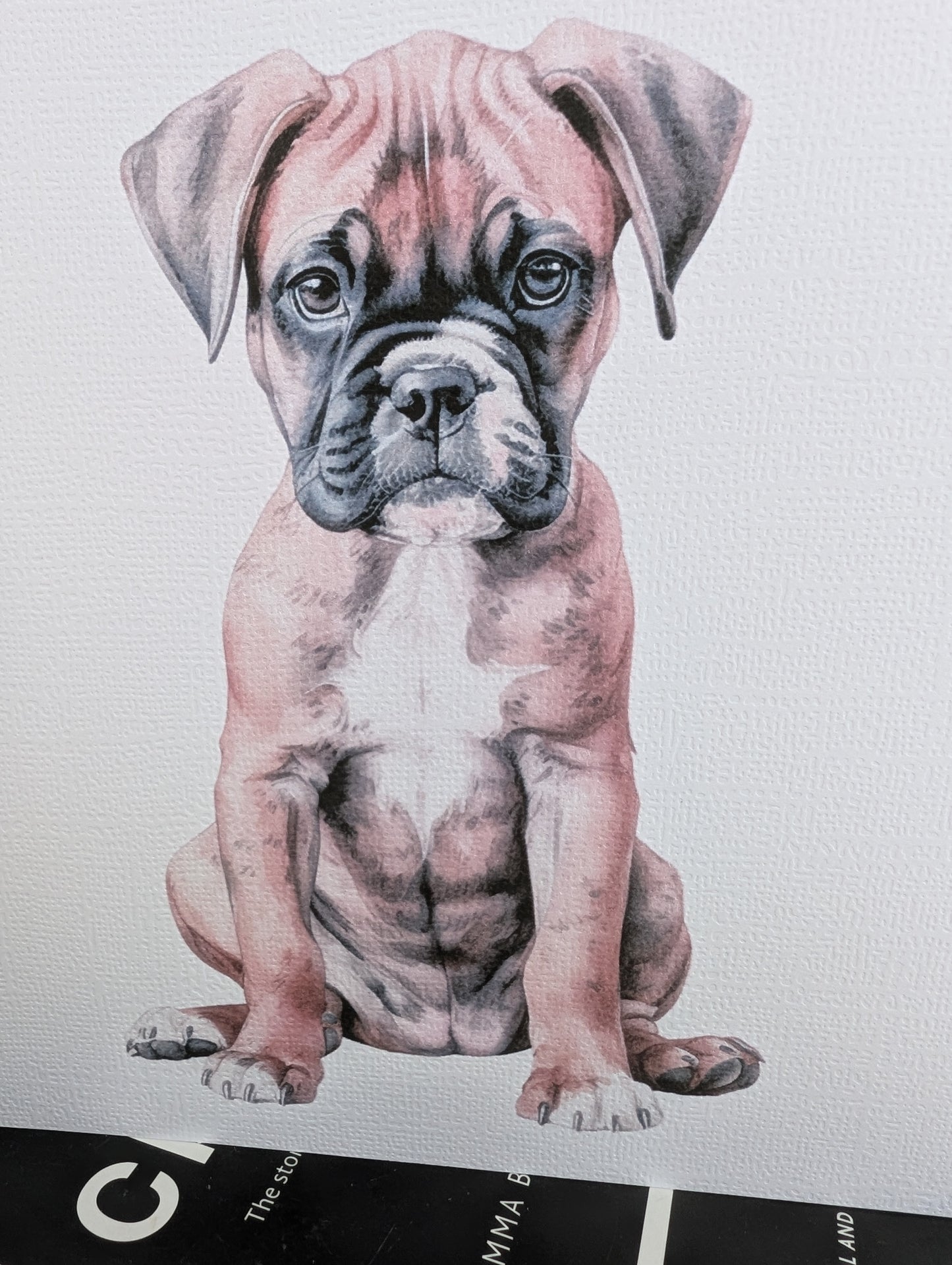 Boxer Dog Greetings Card | Dog Notecard | Boxer Dog Birthday Card image 2