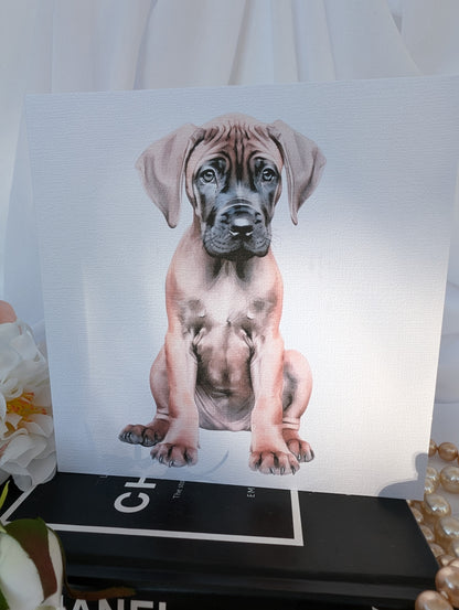 6 x 6 inch white linen effect greeting card, printed with watercolour style image of Great Dane Puppy