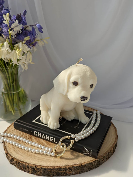 Moulded Beagle Puppy candle on top of a black book