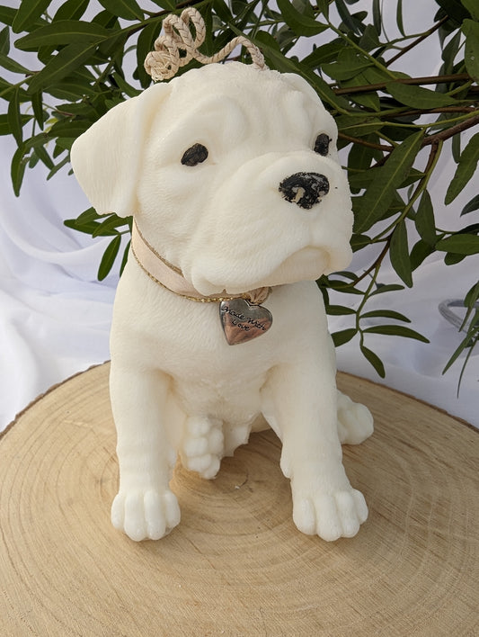 Moulded boxer dog puppy candle.  Made of coconut and rapeseed wax with ribbon and charm around his neck