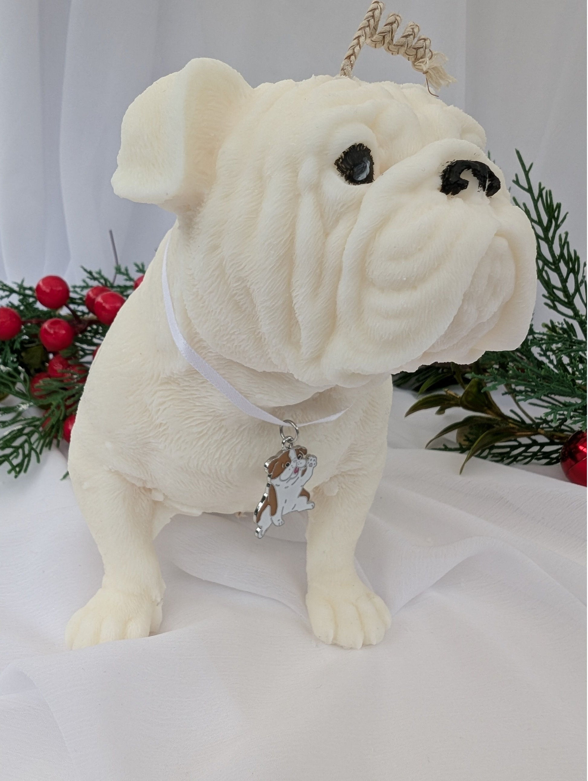 Right profile view of hand poured moulded British Bulldog Candle with white ribbon and British bulldog charm around its neck