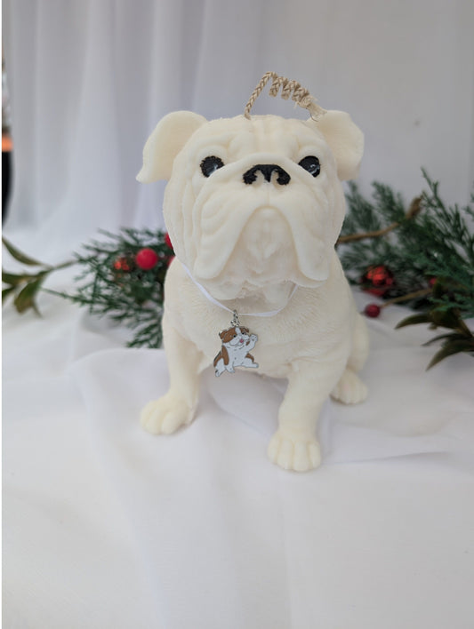 Front view of hand poured moulded British Bulldog Candle with white ribbon and British bulldog charm around its neck