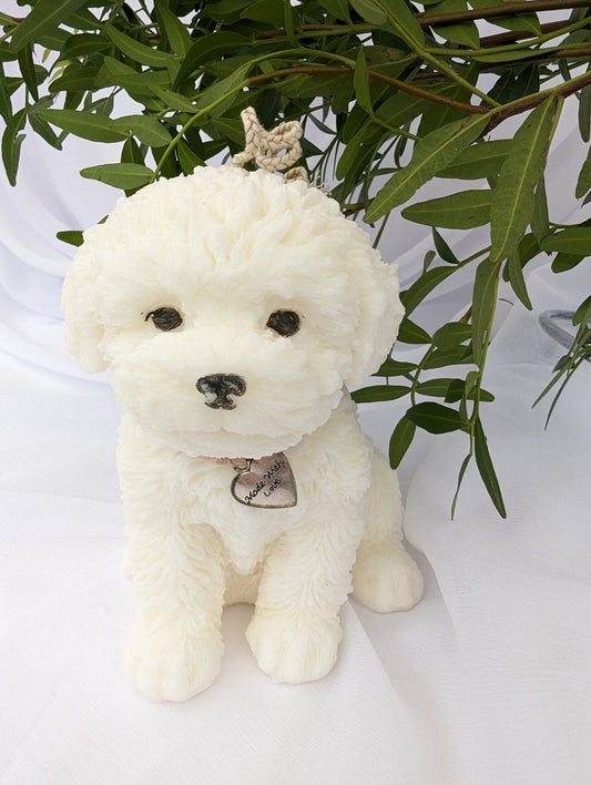 Front view of Cavapoo/Cockapoo Candle with ribbon and silver charm round its neck
