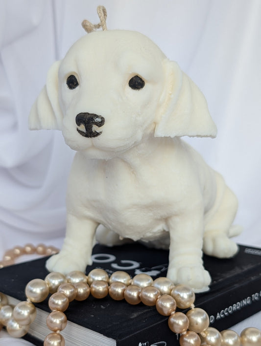 Dachshund shaped dog candle 