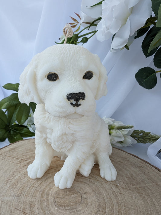 Moulded Springer Spaniel coconut and rapeseed wax candle
