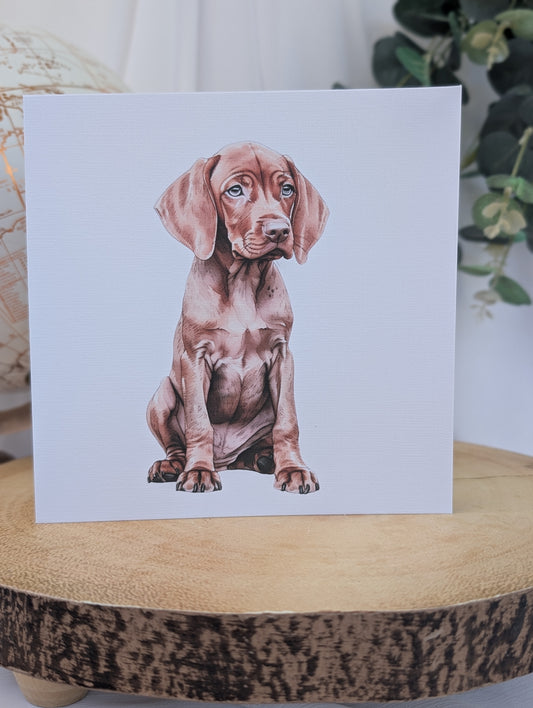 Vizsla Dog Birthday Card, white background linen effect 300gsm card, blank inside