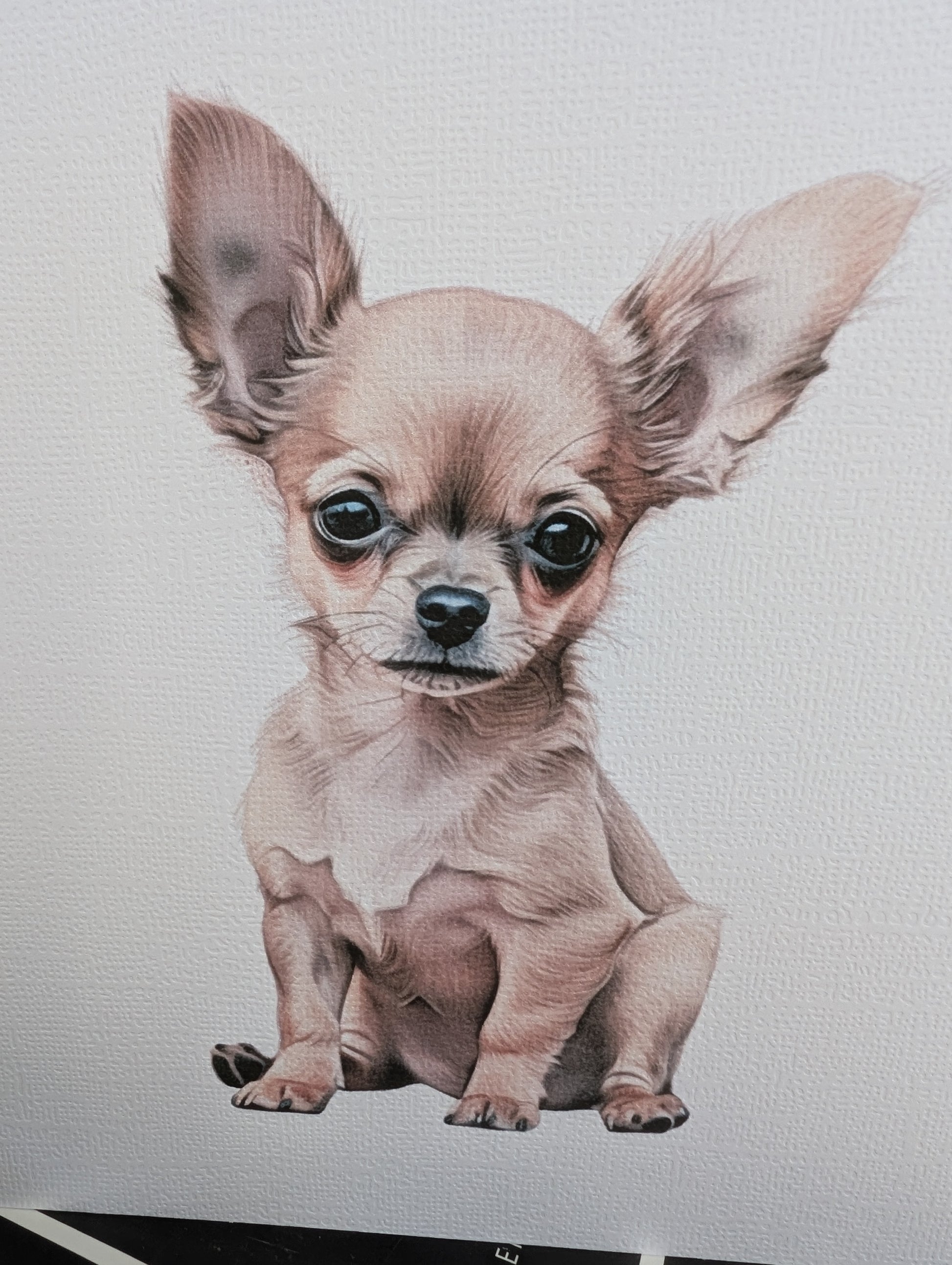 Detailed close up of Chihuahua Dog card - watercolour style print on 300gsm linen effect card