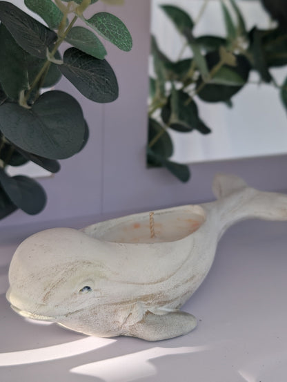 Decorative dolphin ornament on a white surface with green leaves in the background