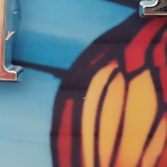 Video of Clownfish Clock detail