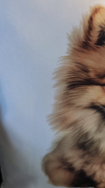 Pomeranian Cushion | Dog Cushion | Pomeranian Home Decor