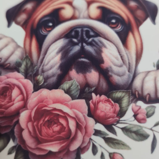 Travel Jewellery Box - Cream faux leather with cute bulldog and flower design - video of lid being opened to show inside detail
