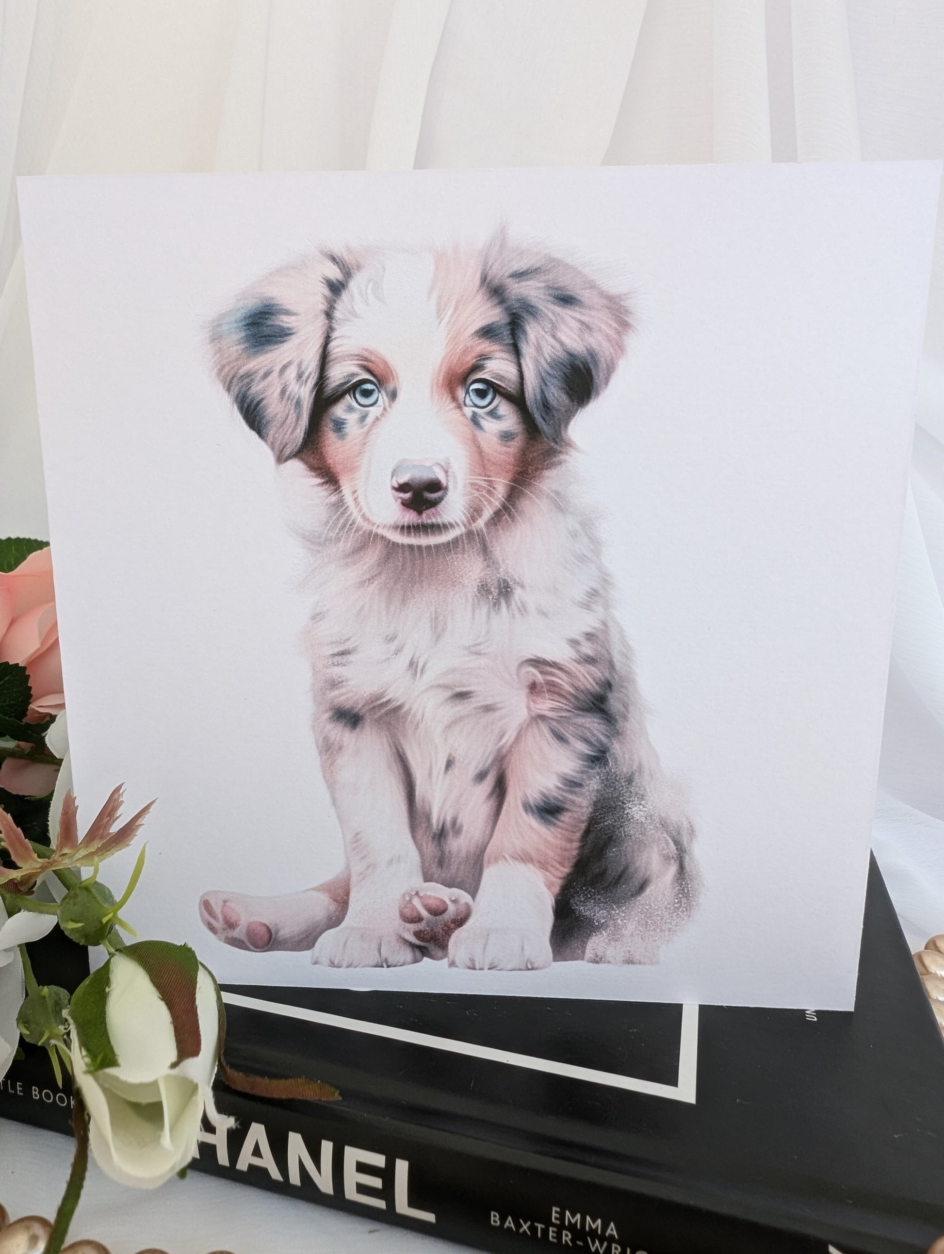 Close up view of Australian Shepherd Puppy dog card.  watercolour style printed on 300gsm linen effect white card measuring 6x6 inch square